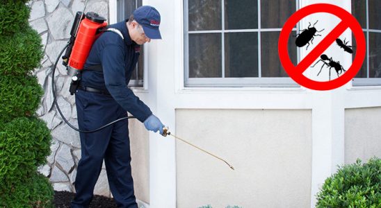Güzelbahçe Böcek İlaçlama böcek ilaçlama ve haşere kontrolü — ilaclama-tr.com